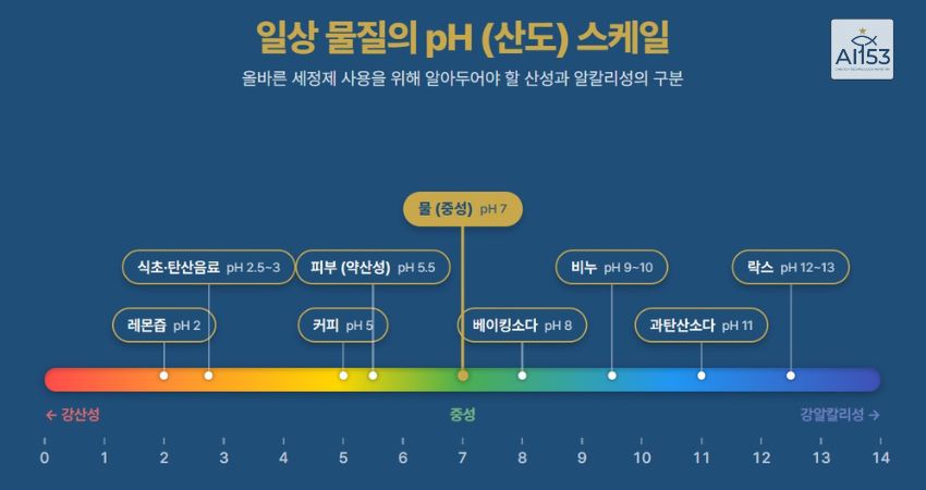 pH 0부터 14까지 일상 물질 배치 스케일 인포그래픽